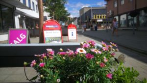 Kirkenes centre flowers