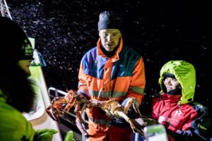 King Crab safari
