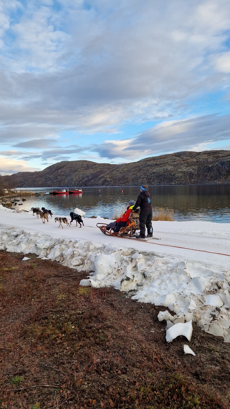Early Bird Husky Tour – Kirkenes (KI49E)