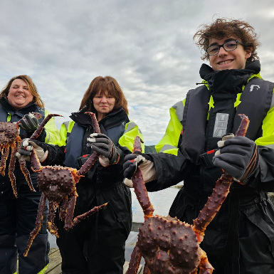 King crab safari