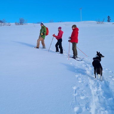 Hiking,snowshoe