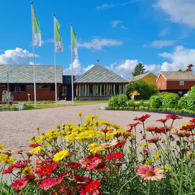 Pasvik National Park