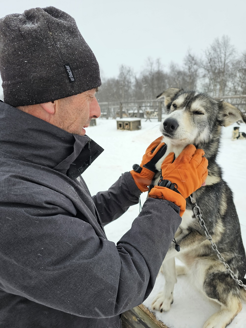 Kirkenes Sightseeing and Russian Border Tour, Andersgrotta Visit, Evening Snowmobile King Crab Safari & Dinner (KP09) - Image 13