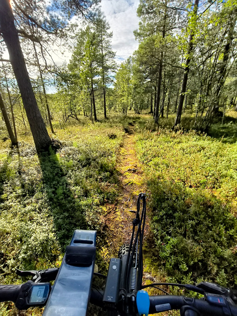 Summer E-fatbike Tour (KS61-kt) – Image 4
